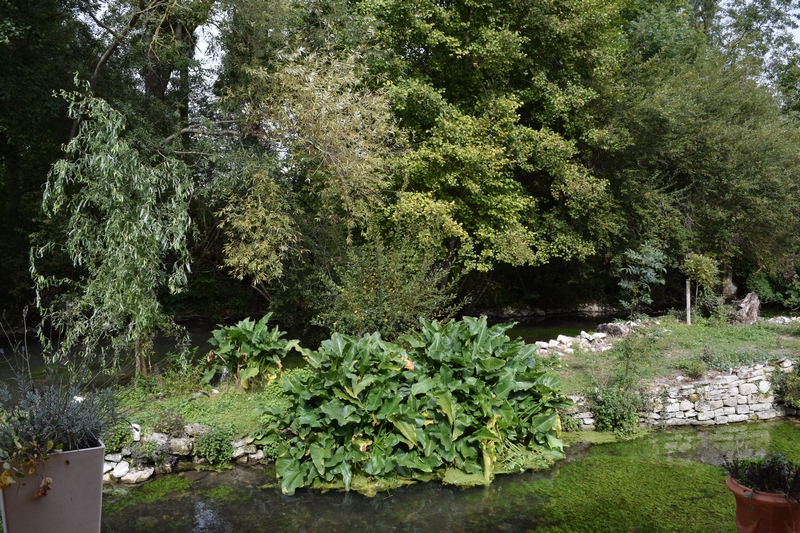 Petit Courault, Pamproux - photo 3