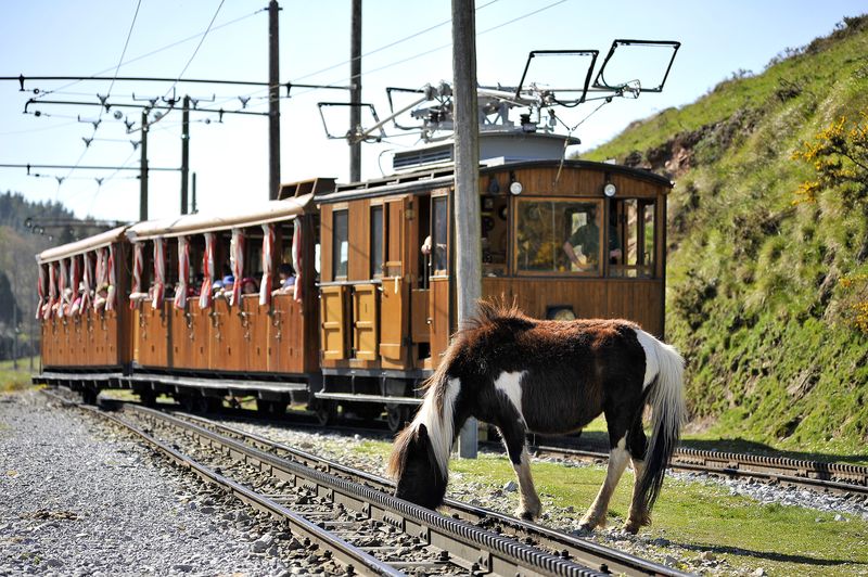 Pays basque : quarante ans de petit train