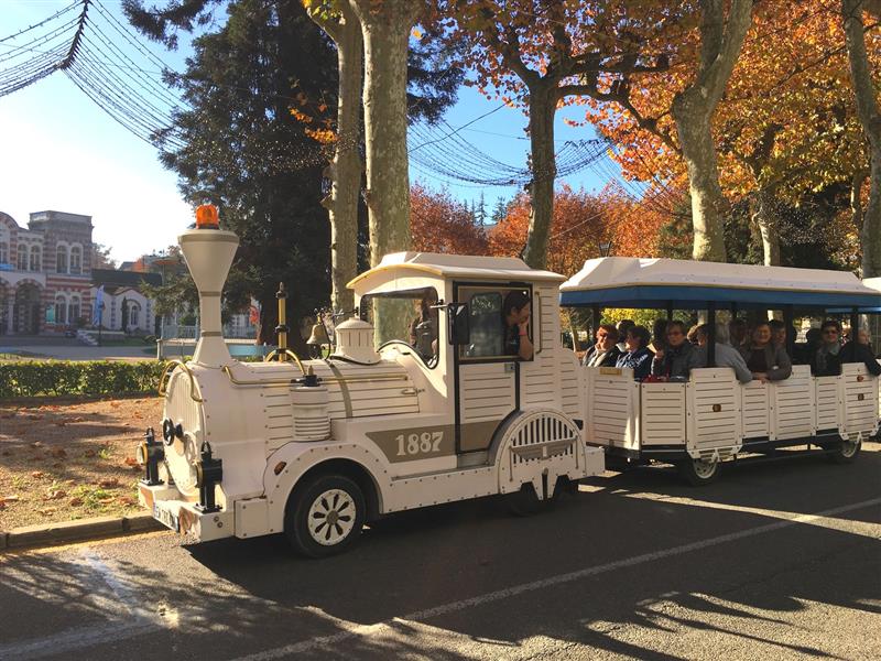 Visite de Salies en Petit Train Touristique