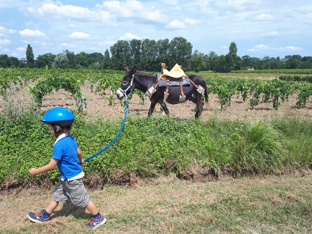 La Ferme à Roulettes, Saint-Vivien - photo 2