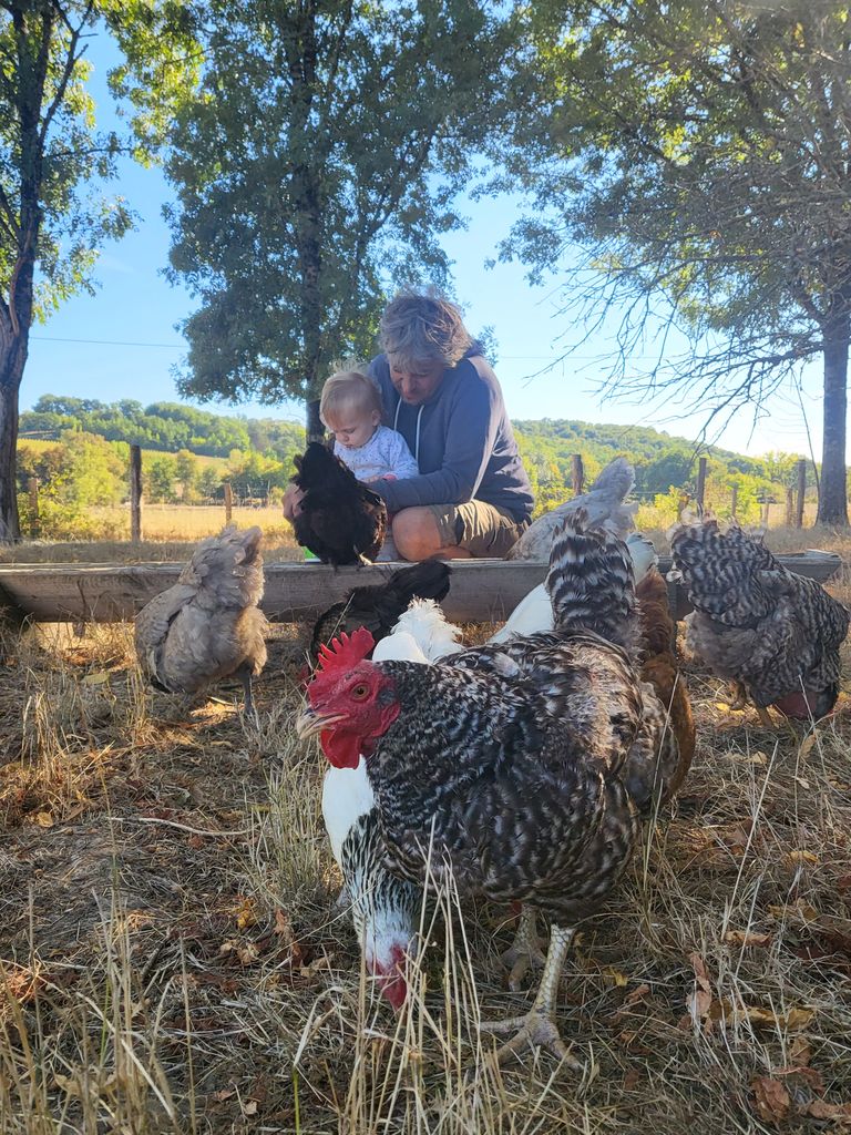 La Ferme à Roulettes, Saint-Vivien - photo 8