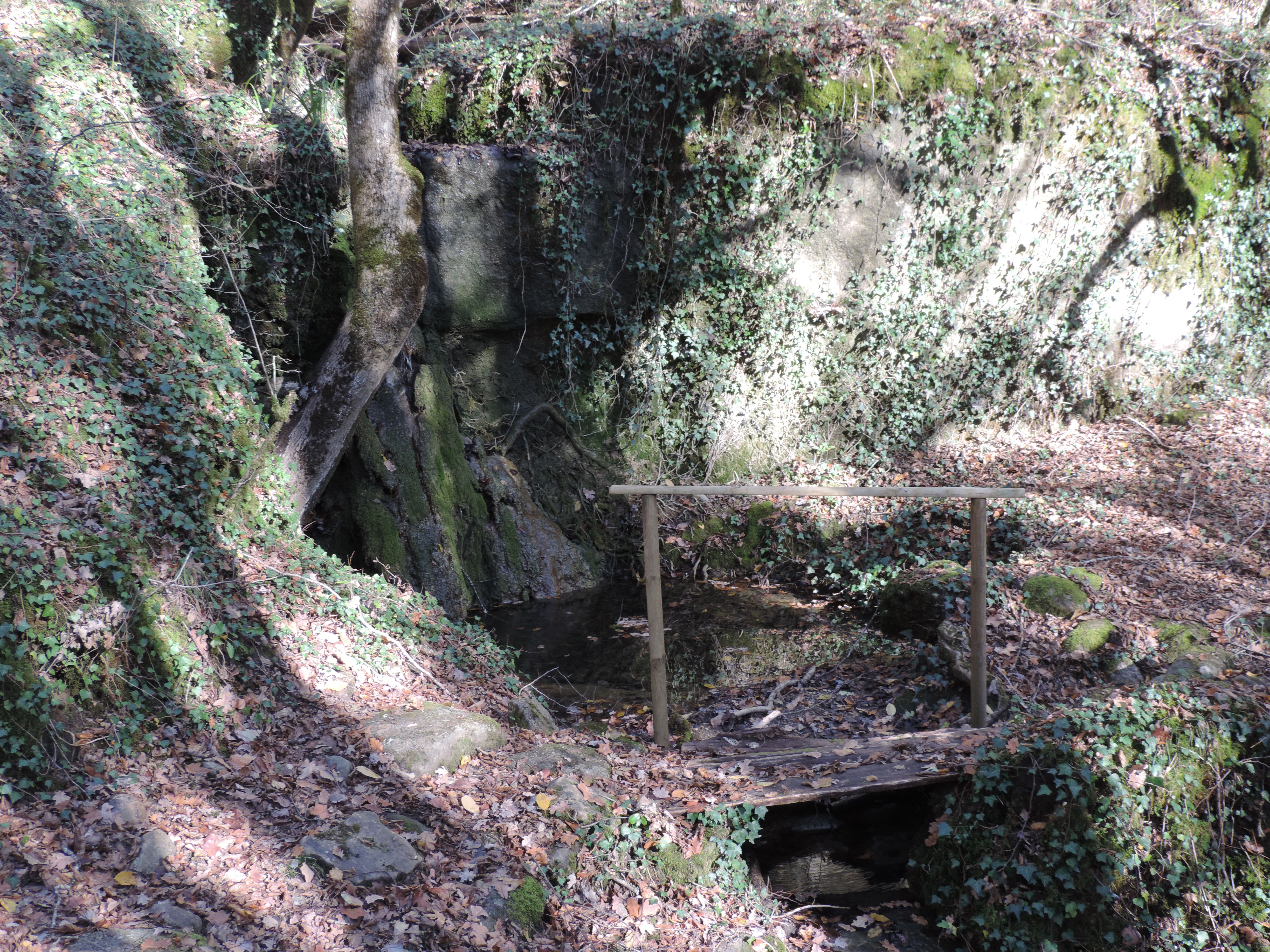 Chemin de la Queyrille, Queyssac-les-Vignes - photo 5