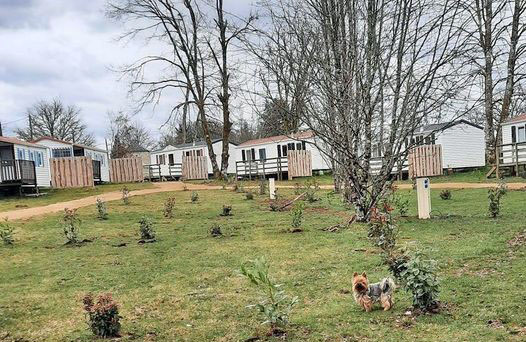 Camping restaurant La Petite Rivière - photo 2