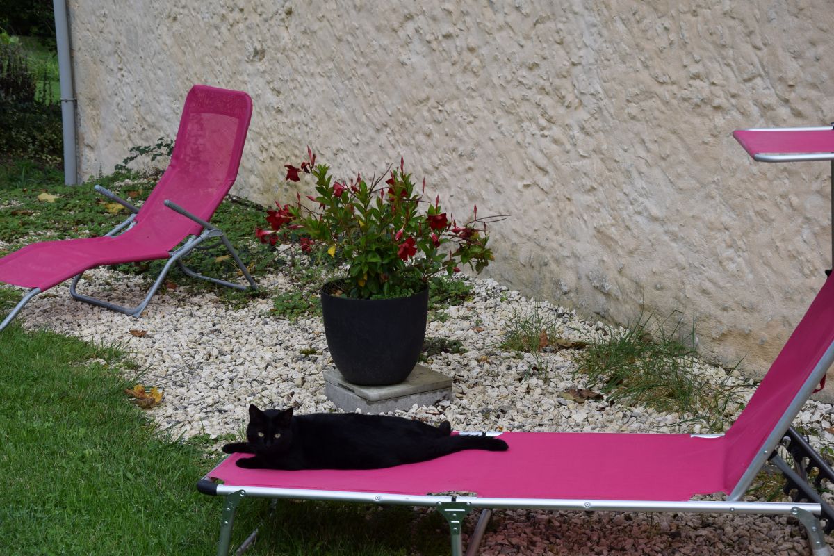 Peyramier Nature, Saint-Aquilin - photo 7