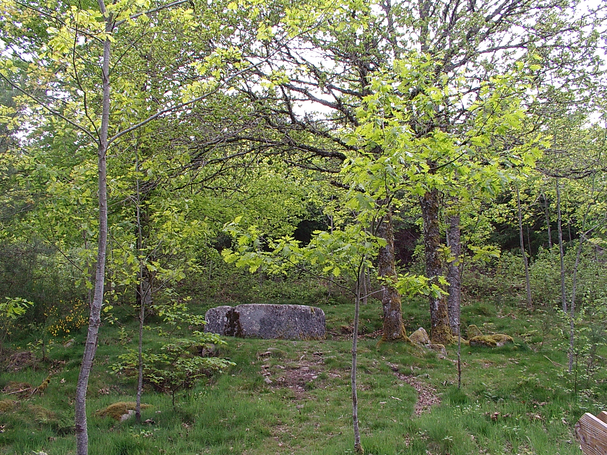 Liaison Eymoutiers-Vassivière, Eymoutiers