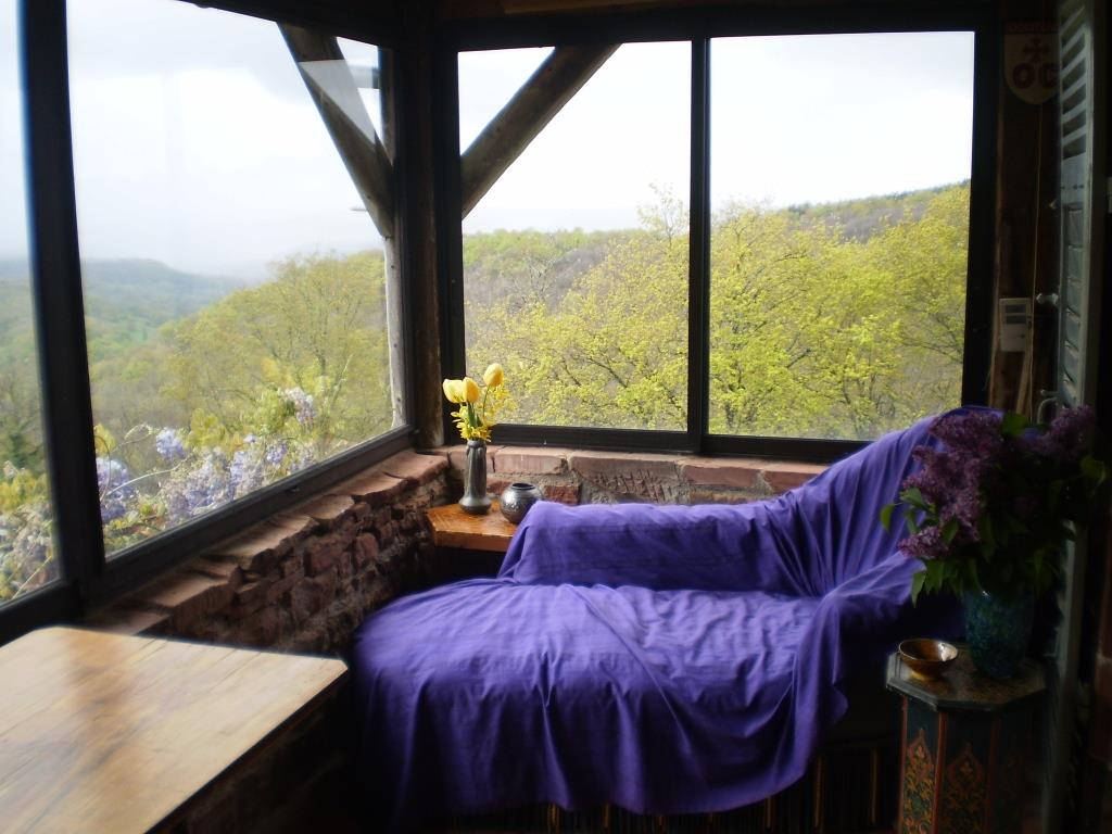 Domaine de Peyrelimouze - photo 2