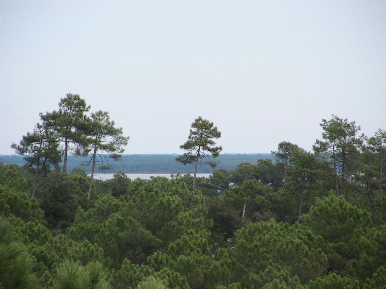 Les phares d'Hourtin