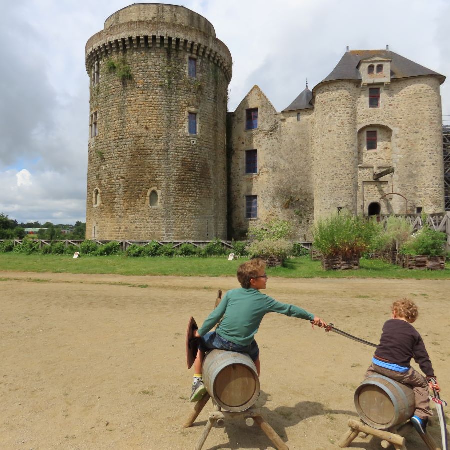 Château de Saint Mesmin, Saint-André-sur-Sèvre - photo 9