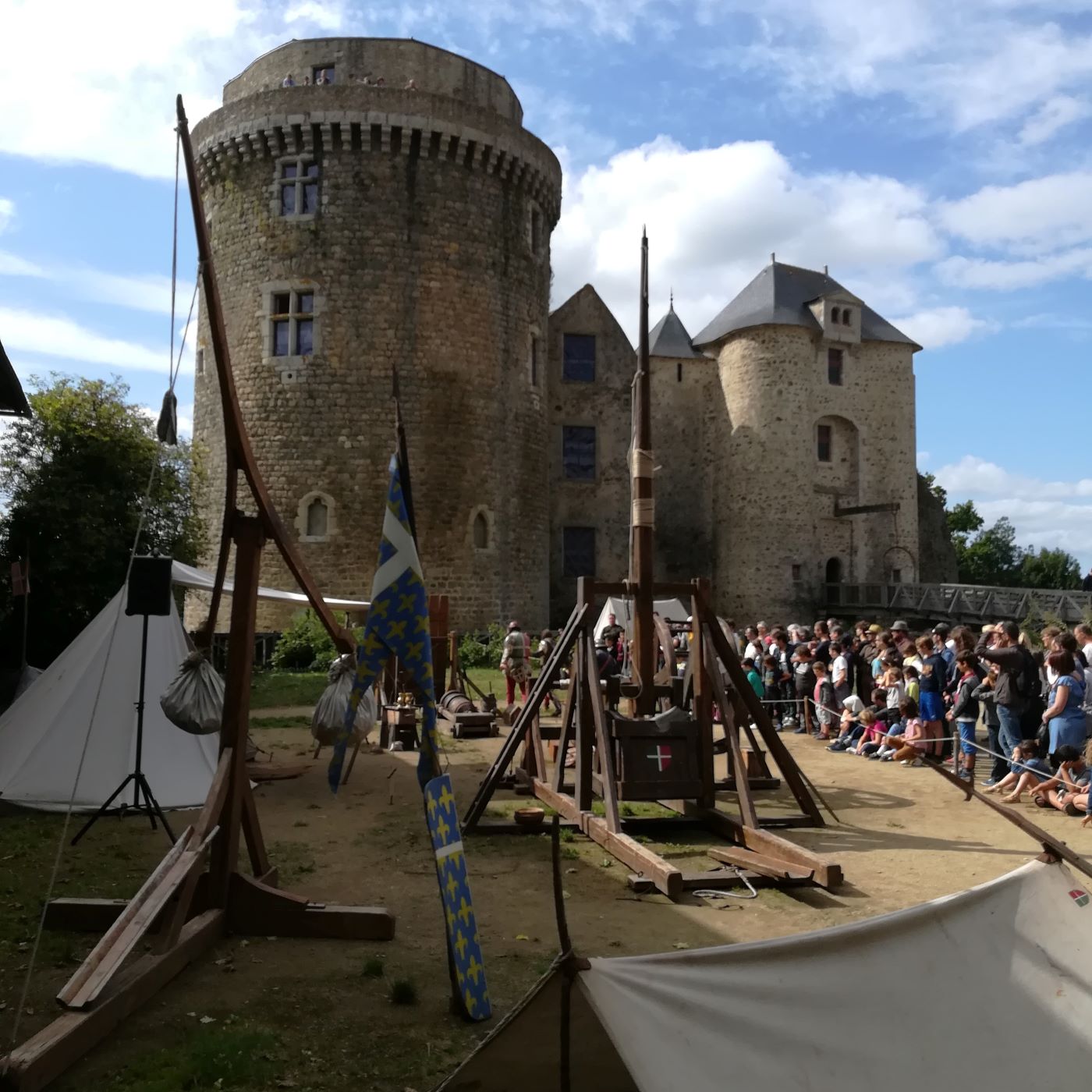 Château de Saint Mesmin, Saint-André-sur-Sèvre - photo 7