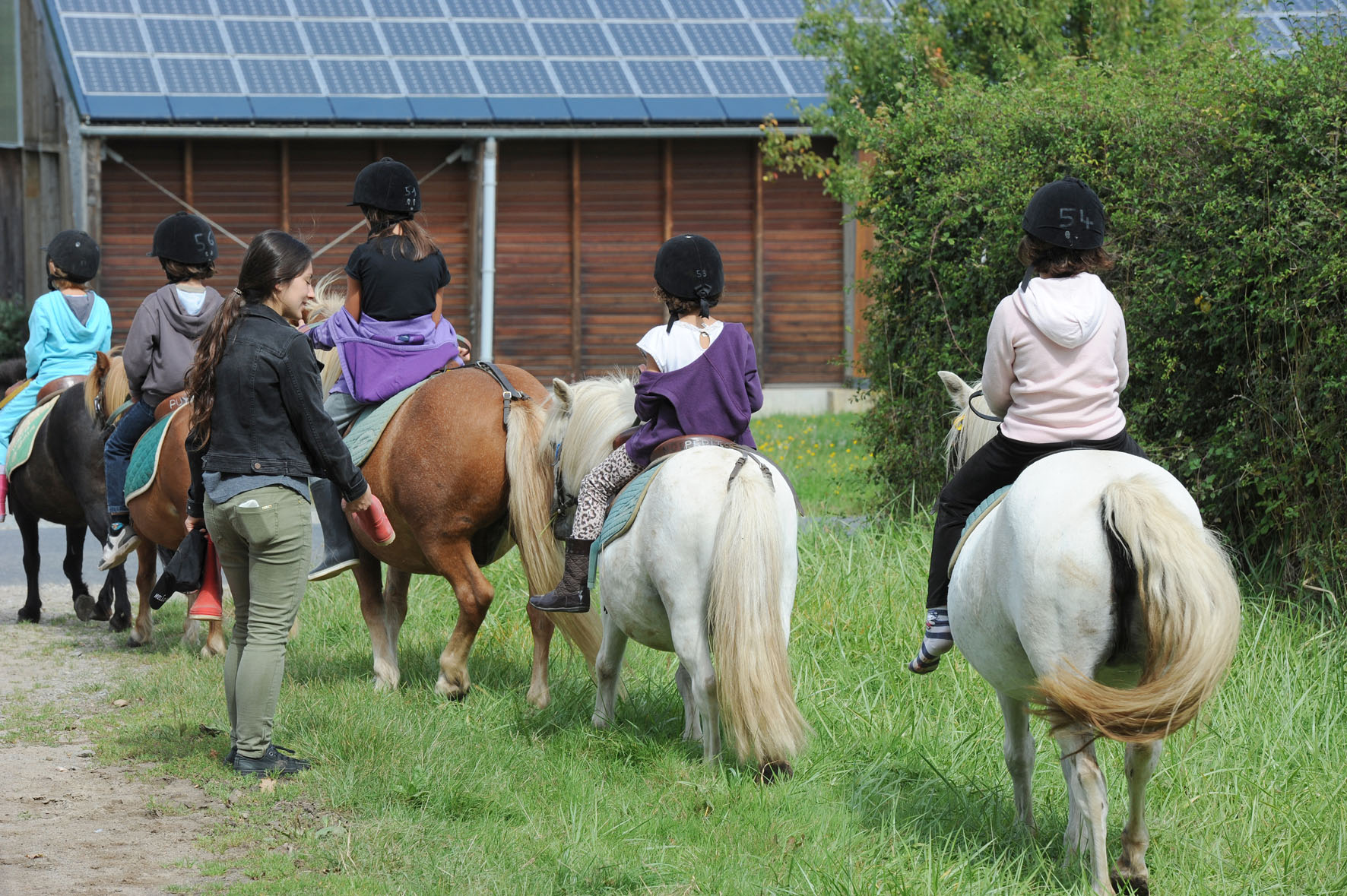 Équitation - CPA Lathus