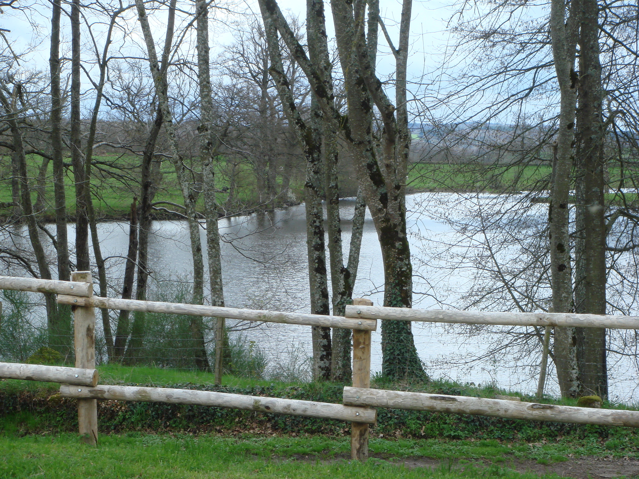 LA BUJADE, Peyrat-la-Nonière - photo 25