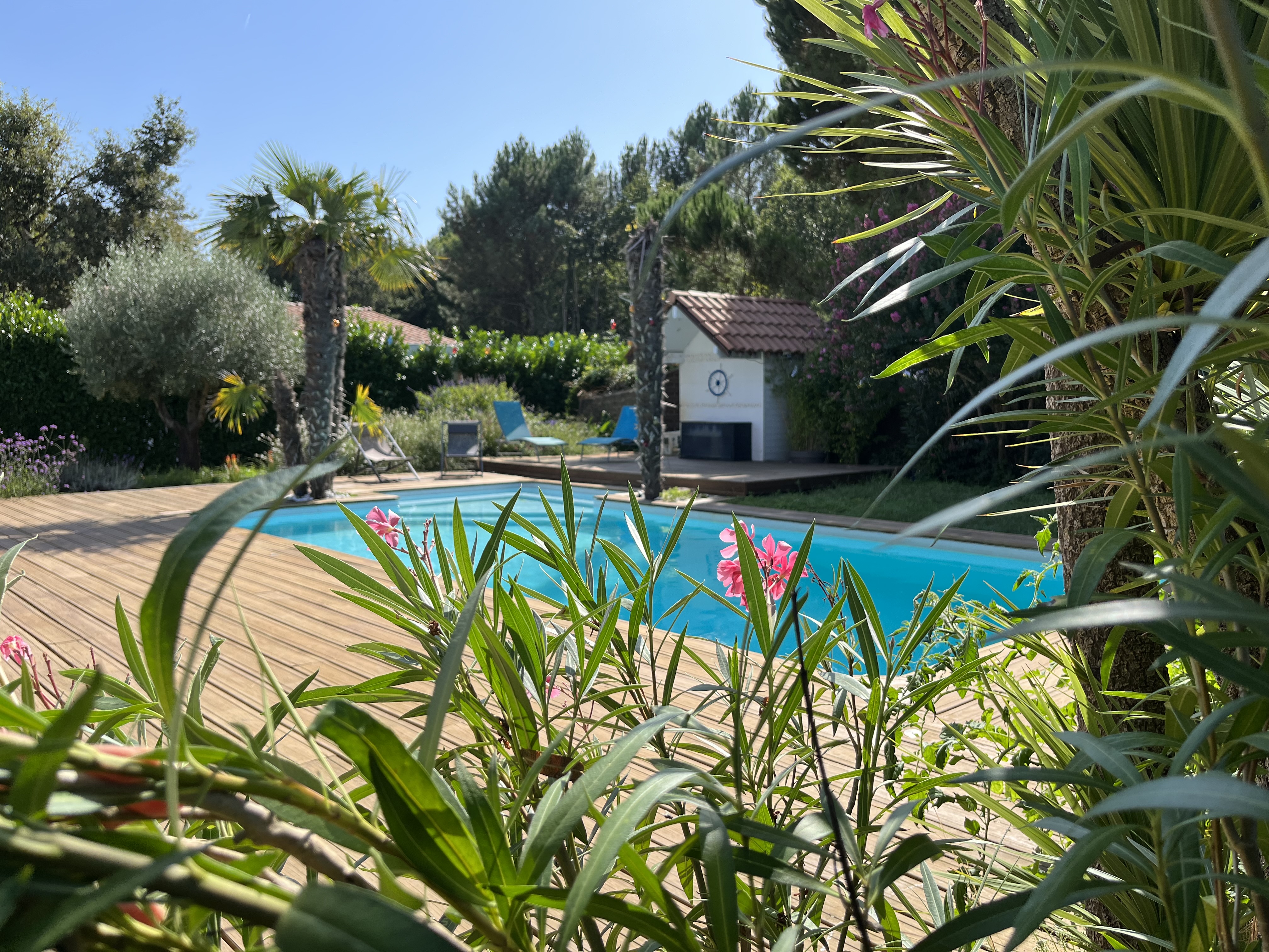 "Lac & Nature" Gîte (4 pers.) Piscine - Solarium - Bien-être - photo 2