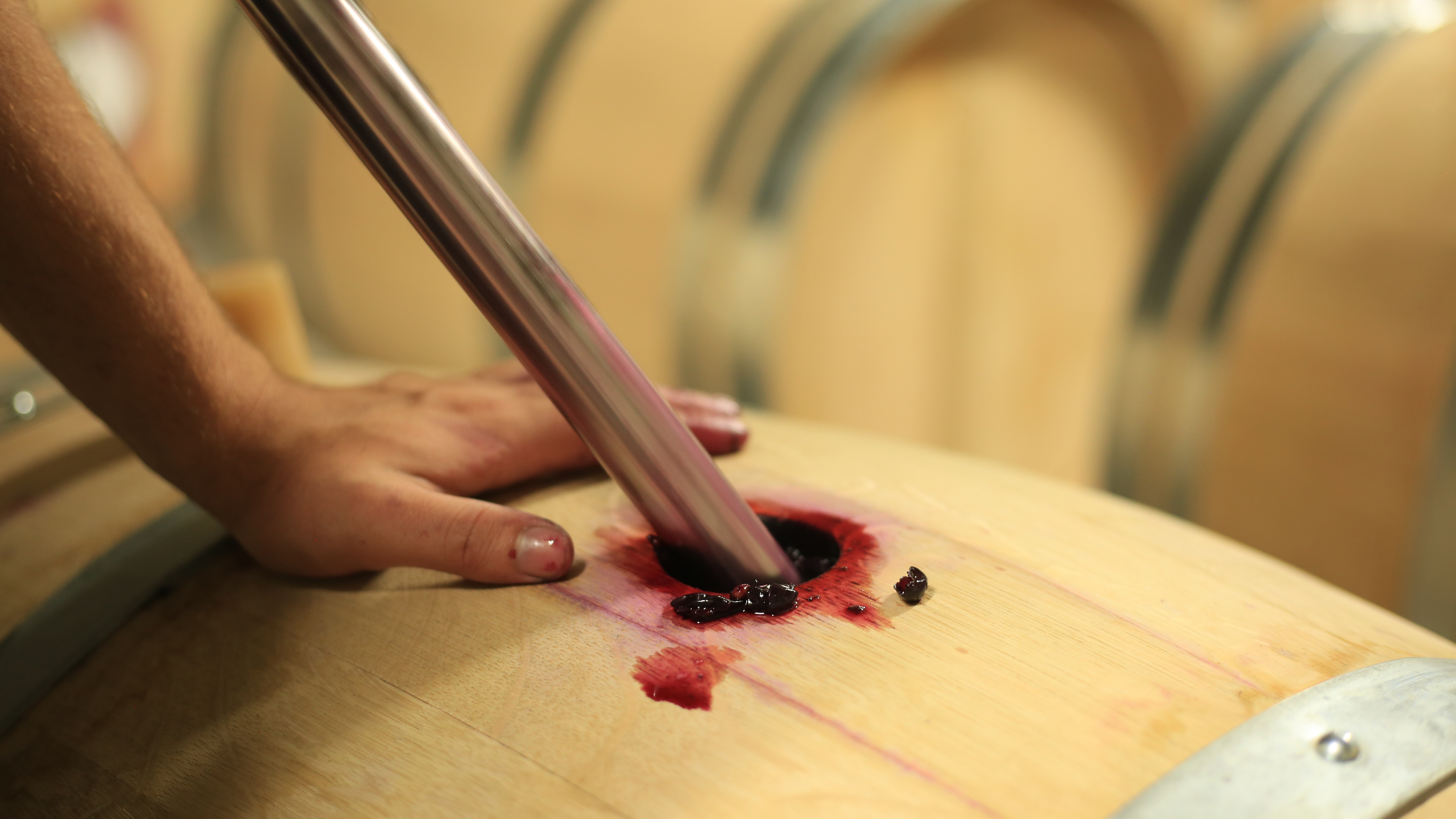 Château La Louvière - photo 3