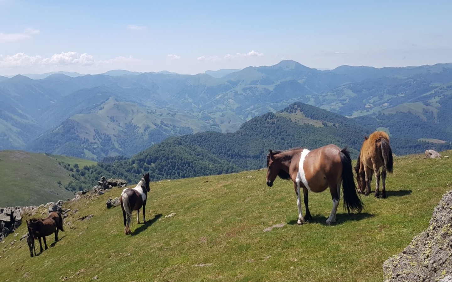 Initiation à la randonnée : Laeti'tes Balades - photo 4