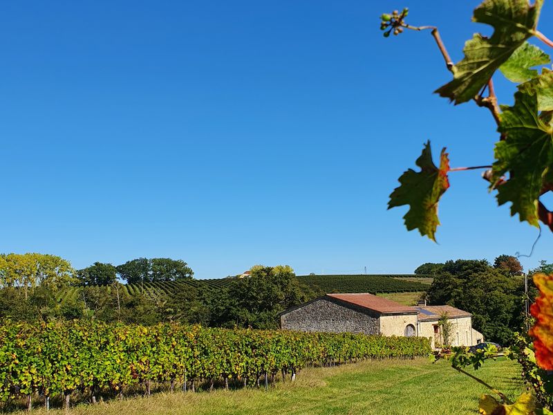 Vignobles Combefreyroux - photo 4