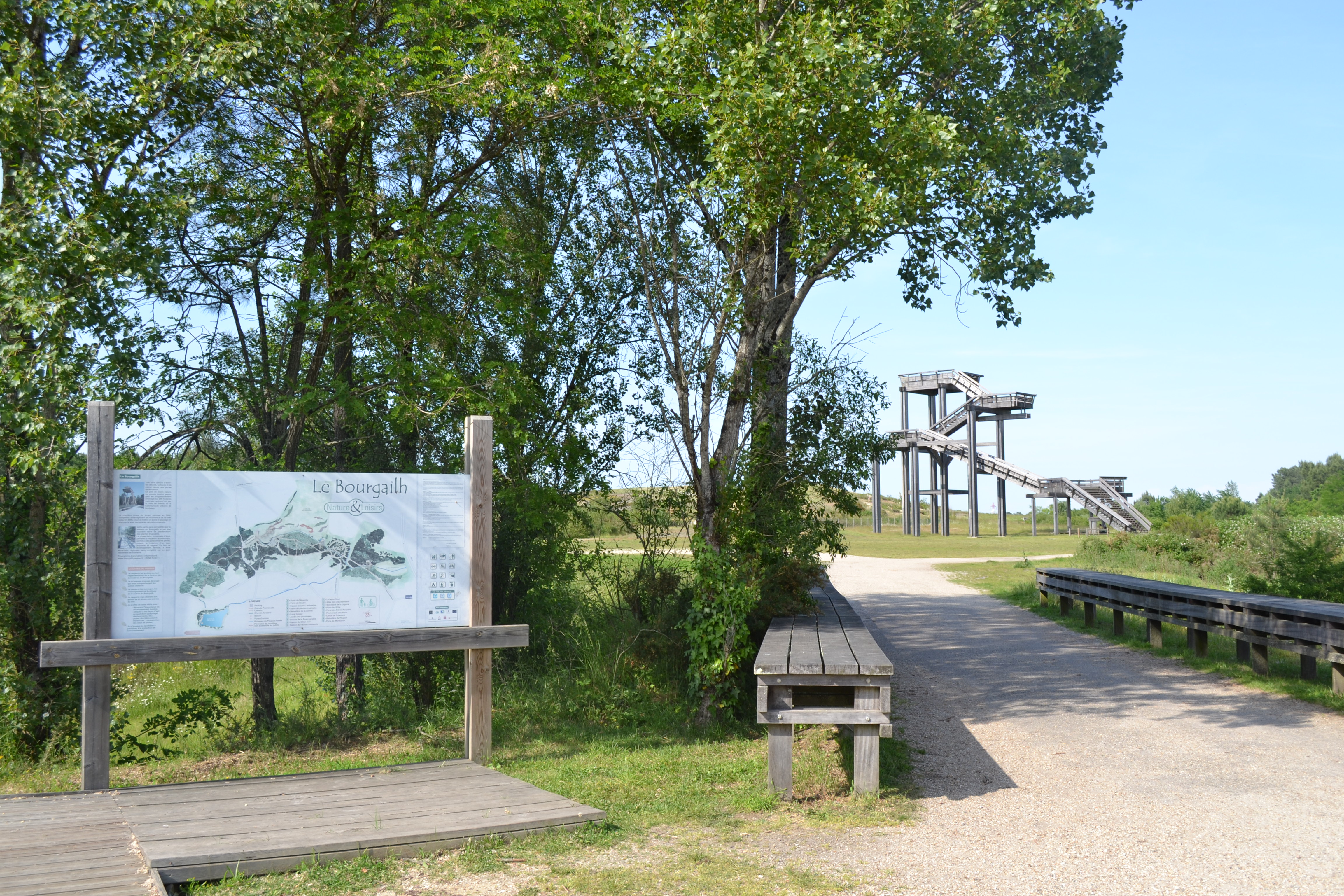 Forêt du Bourgailh, Pessac - photo 4