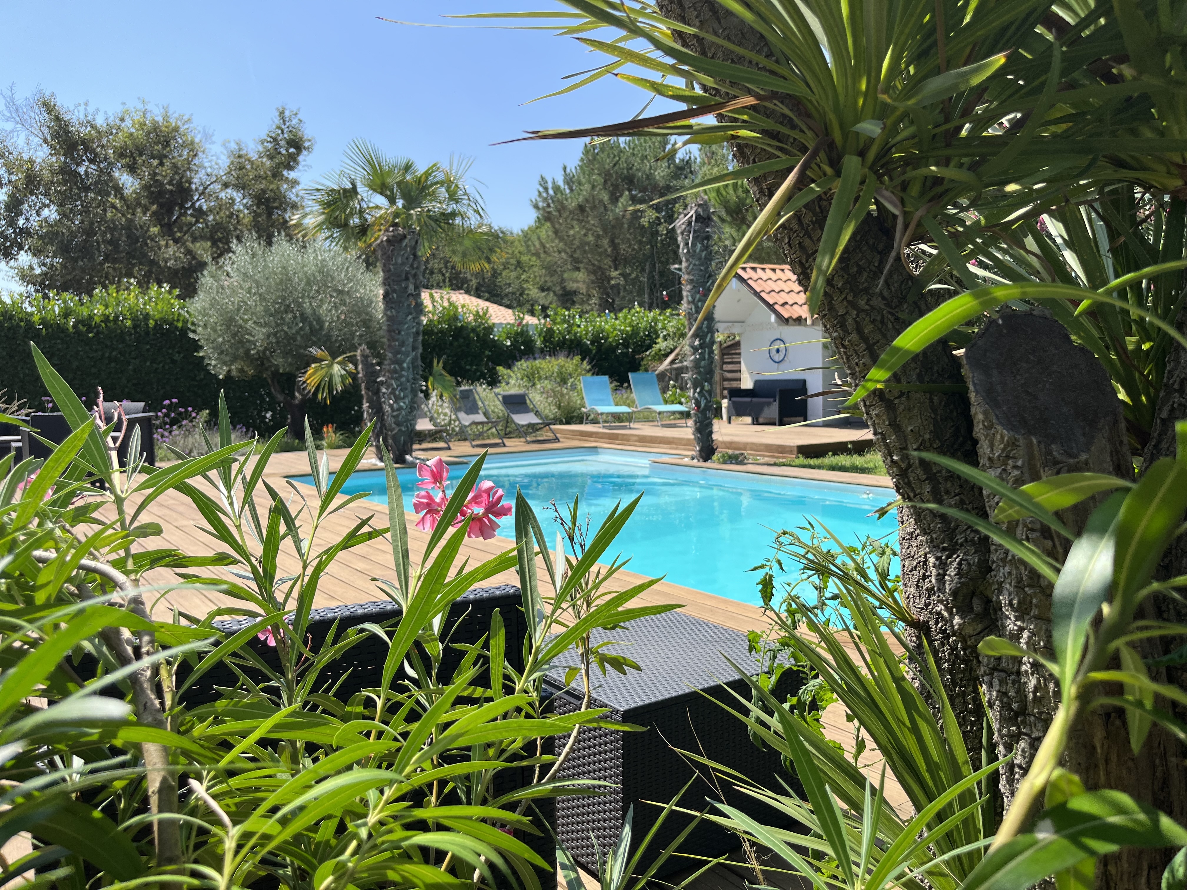 "Lac et Nature" Gîte (5 pers.) Piscine-Solarium-Bien-être, Sanguinet - photo 4