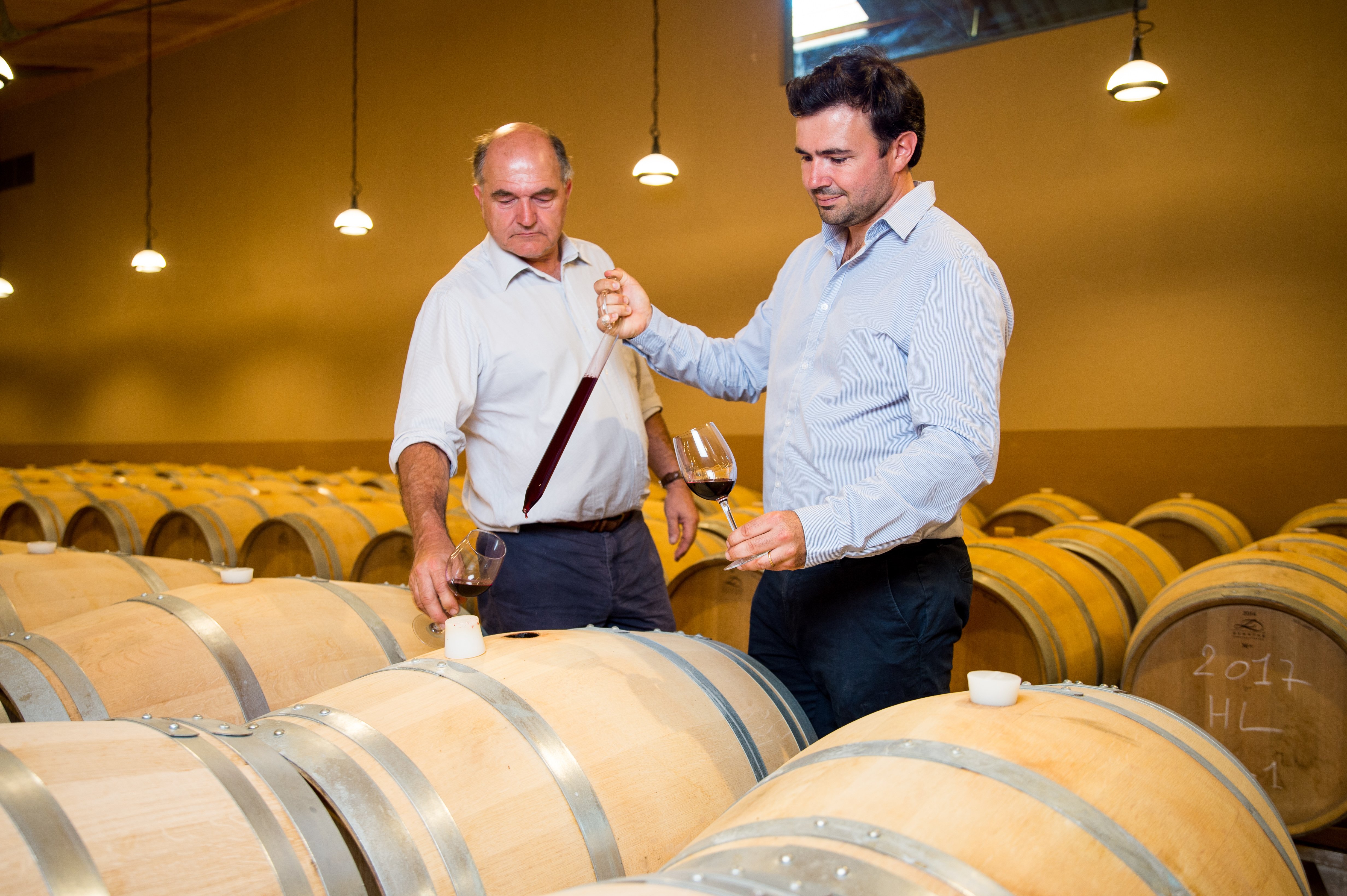 De la vigne à la barrique