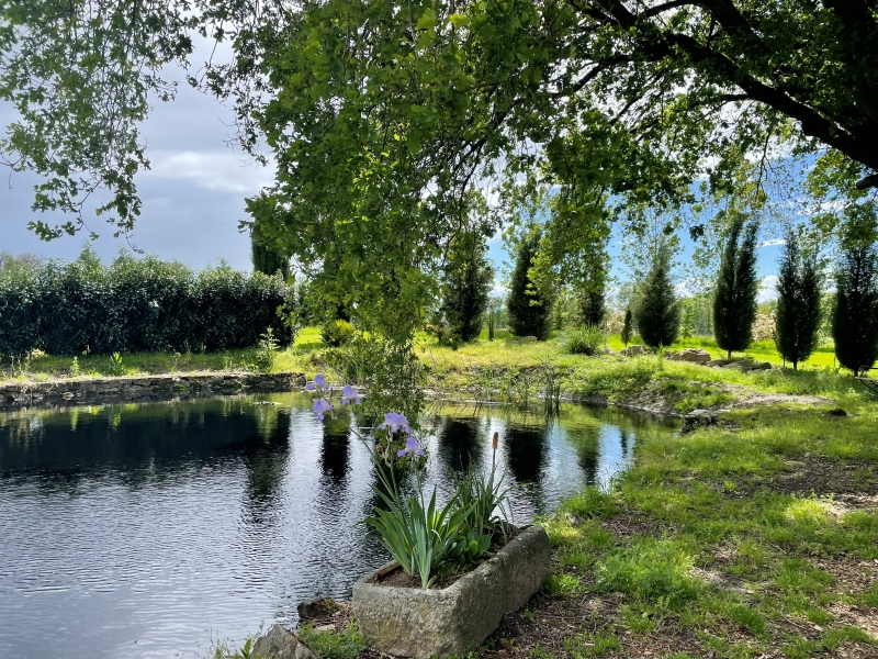 La Grange Richard, Dinsac - photo 9