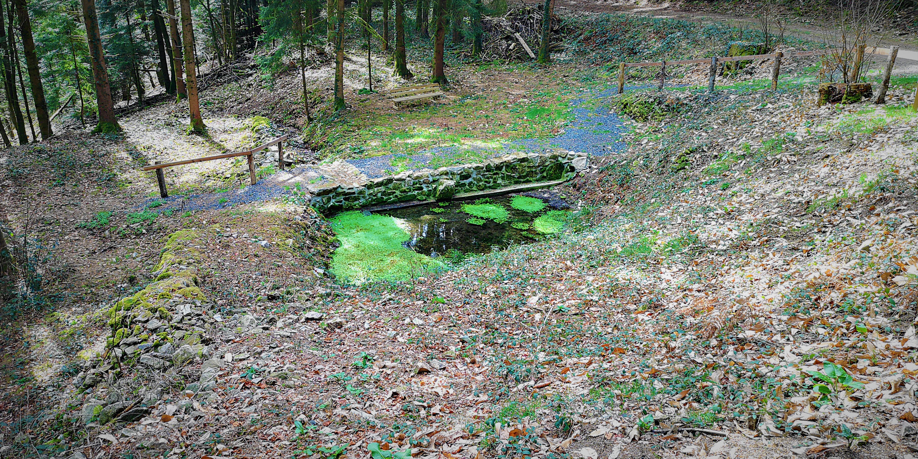 Sur les traces des Bonnes Fontaines du Mont Ceix