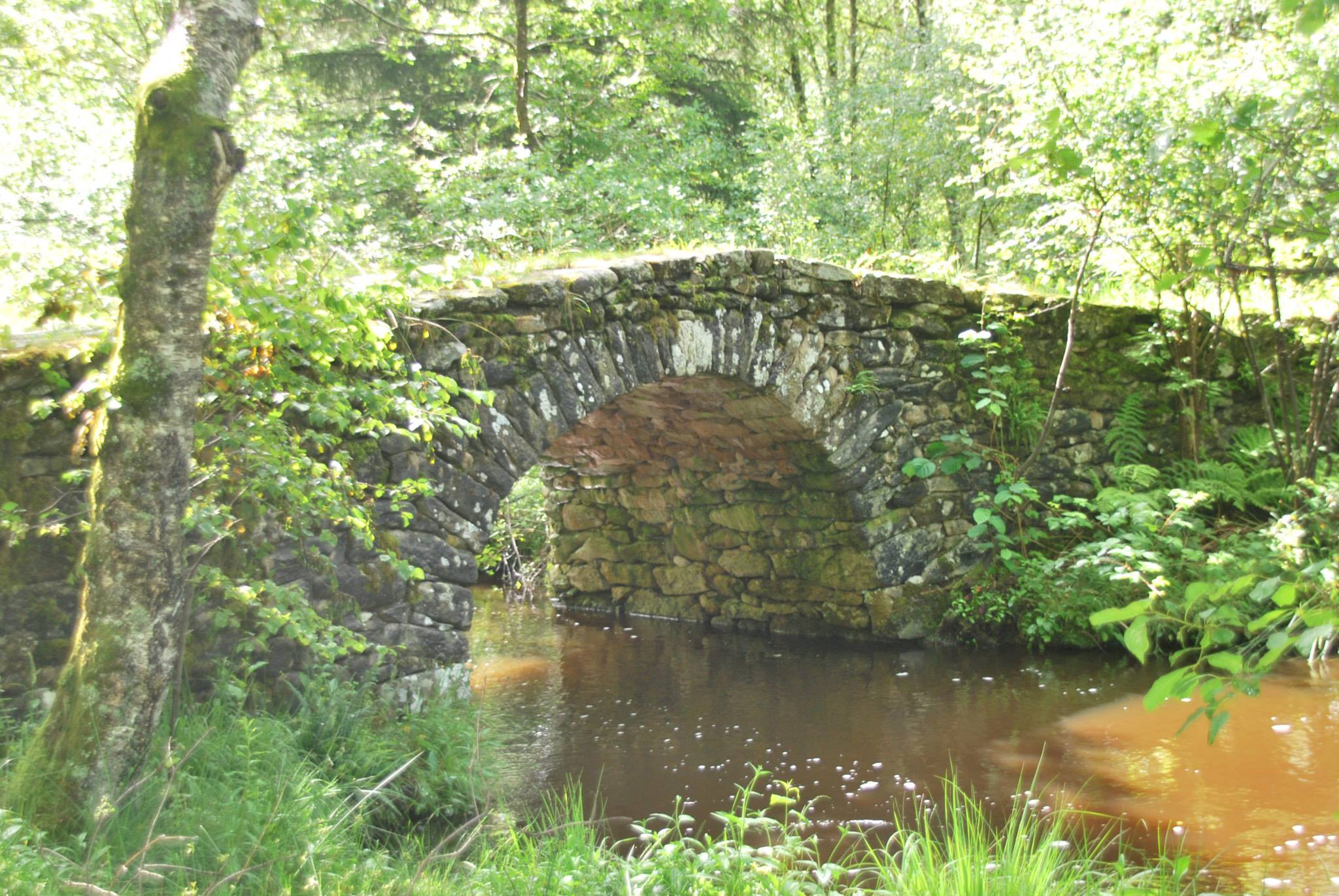 Le Site des Cars, Bugeat - photo 2