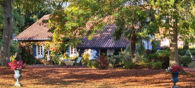 Gîte la louve, Arsague