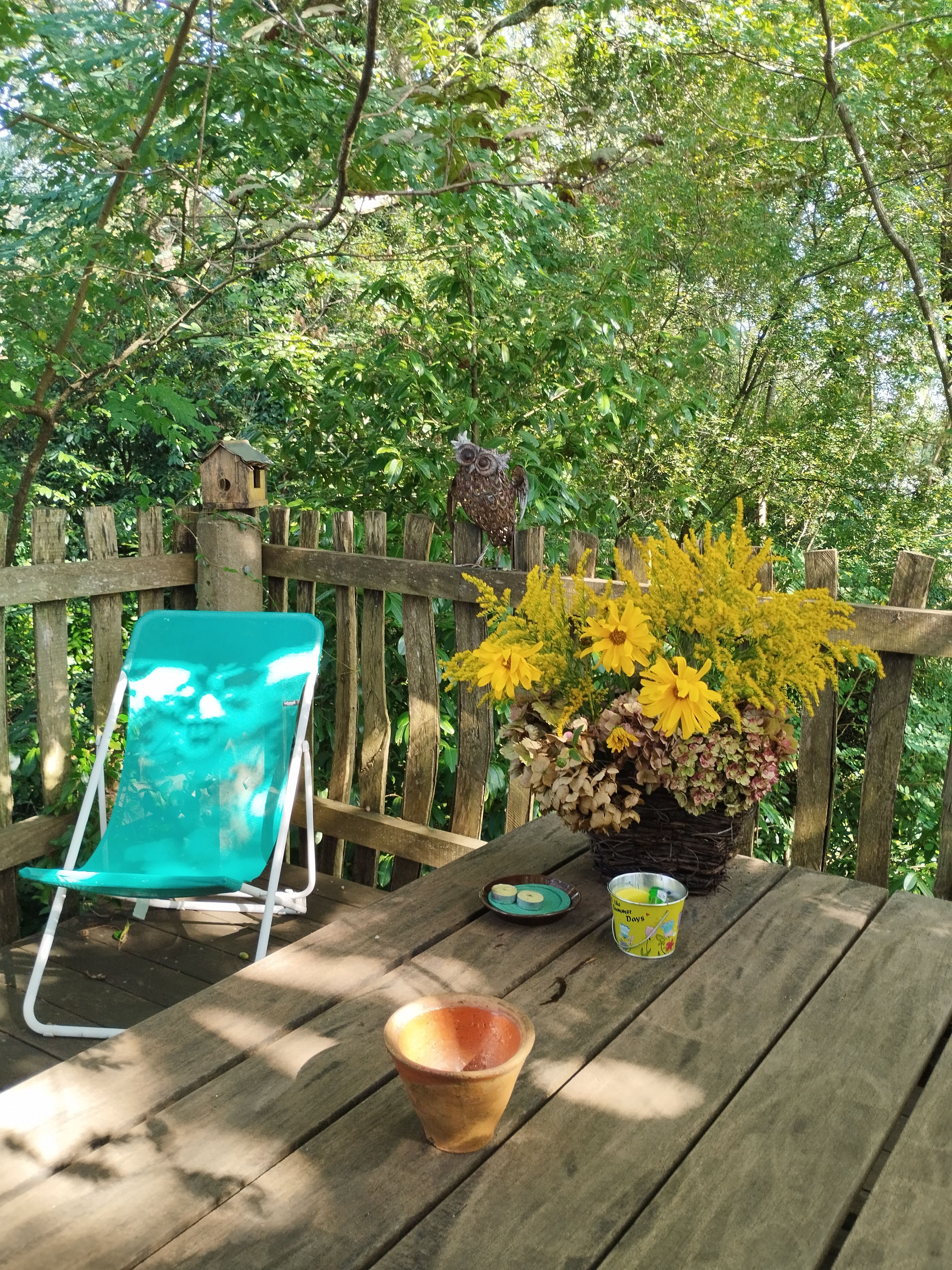 Cabane dans les arbres : la Papyjotte, Montfort-en-Chalosse - photo 21