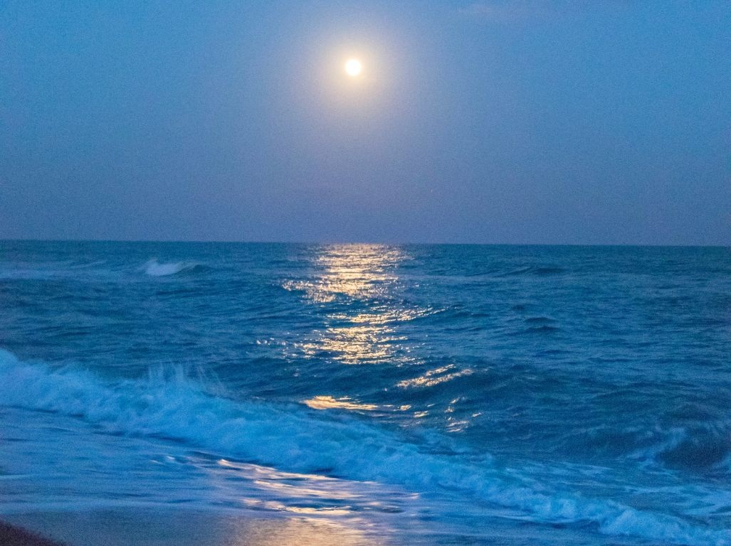 Bain de forêt de la pleine lune et Rituel de Lune