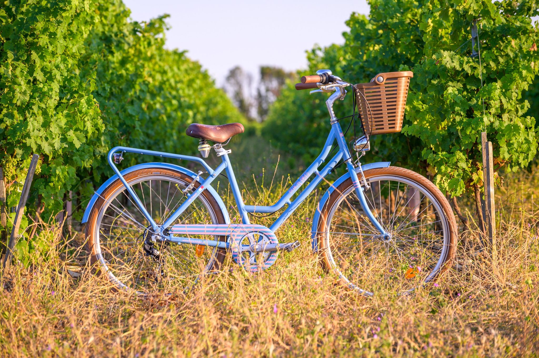Beach Bikes