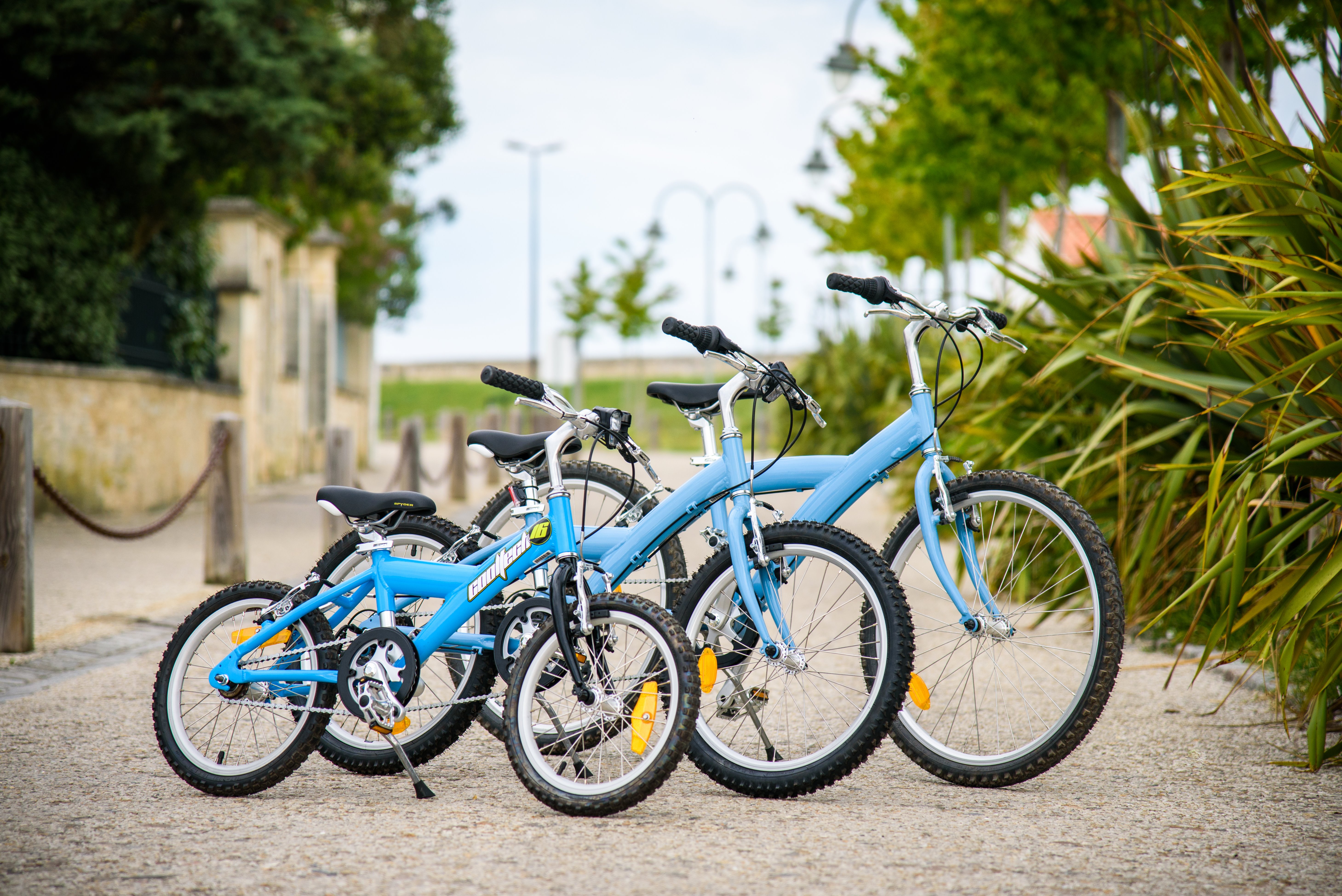 Beach Bikes - photo 3