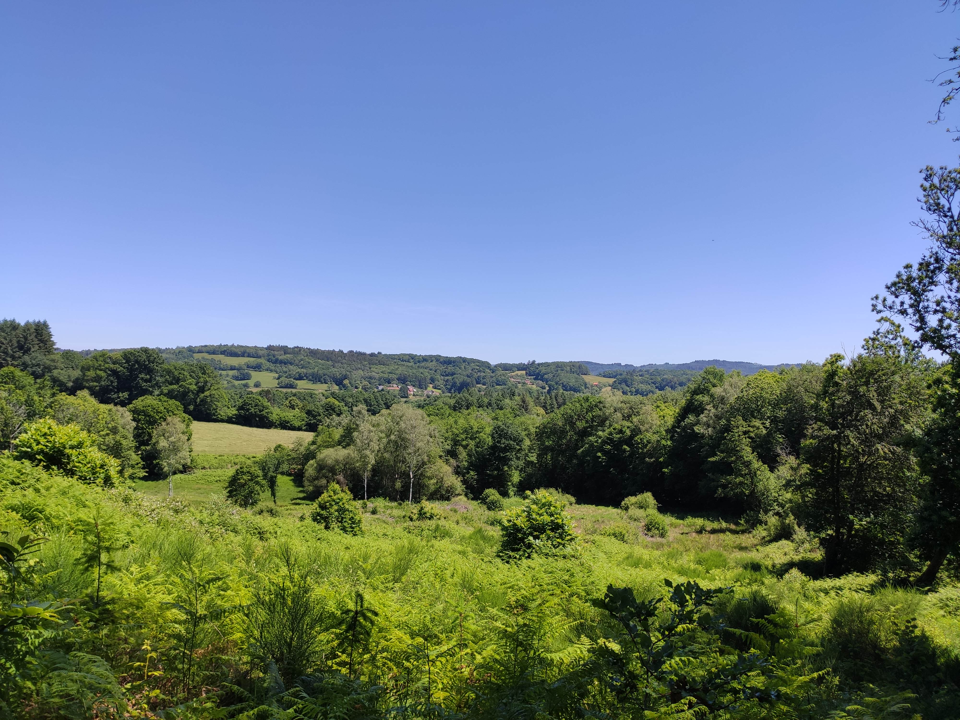 Boucle du Mont Larron, Saint-Julien-le-Petit - photo 2