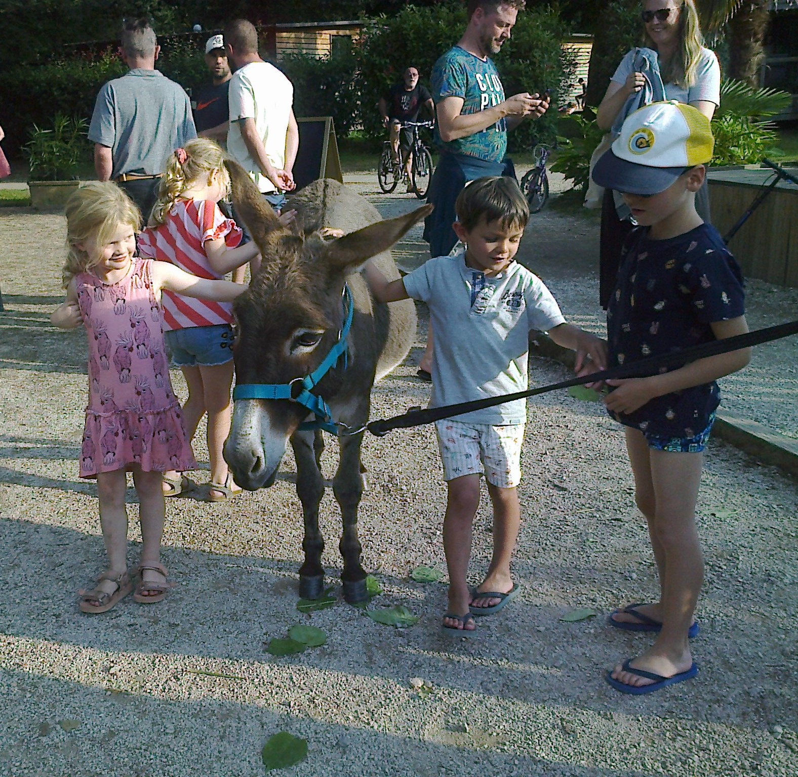 Histoires d' Ânes - photo 4