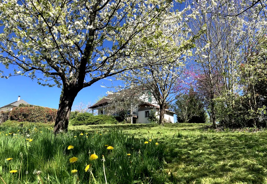Le Chalet du Plantou