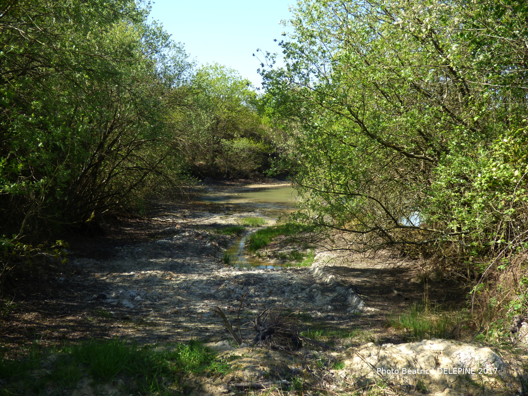 Les communaux de l'Hôpiteau, Boussais