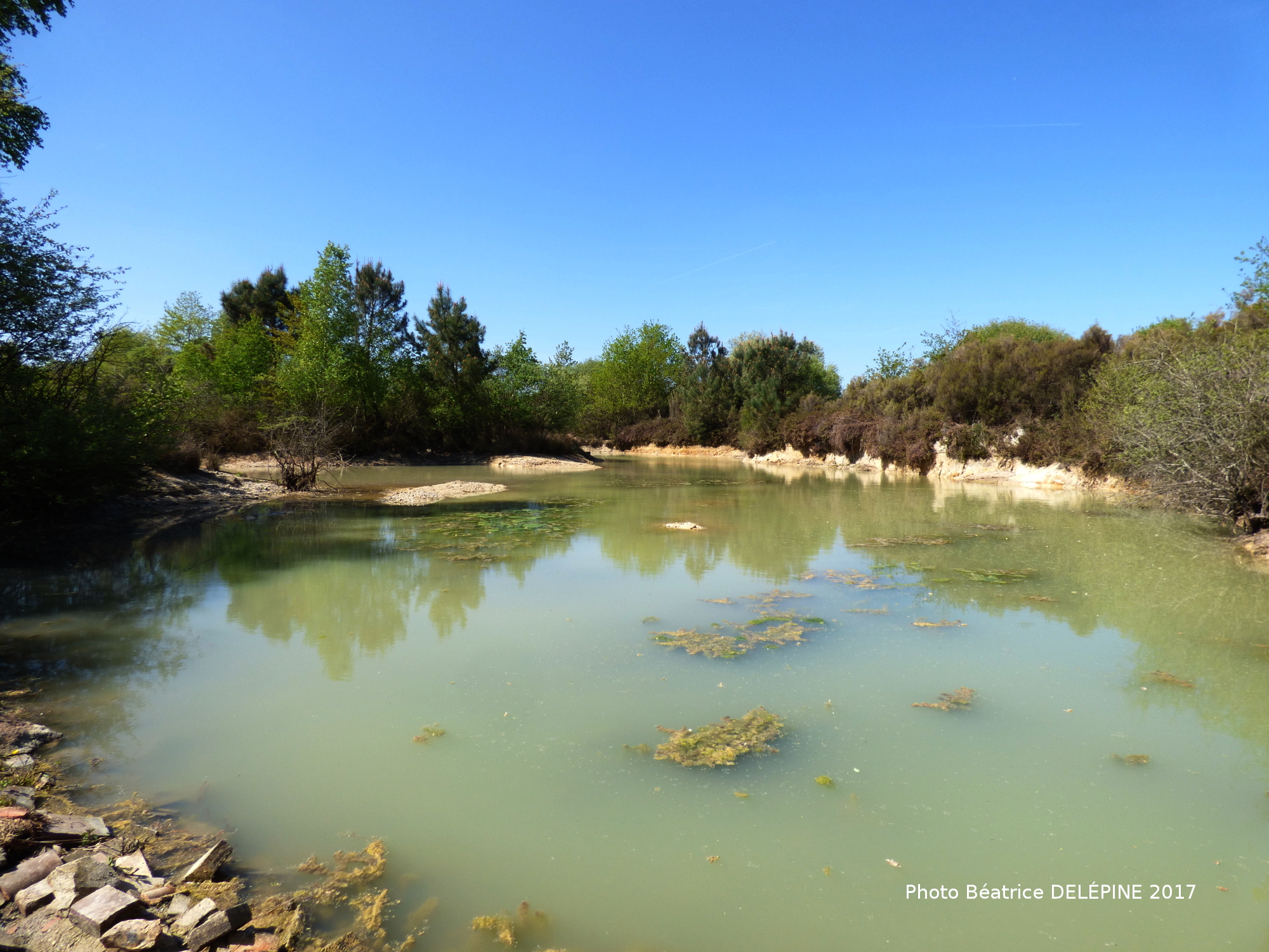 Les communaux de l'Hôpiteau