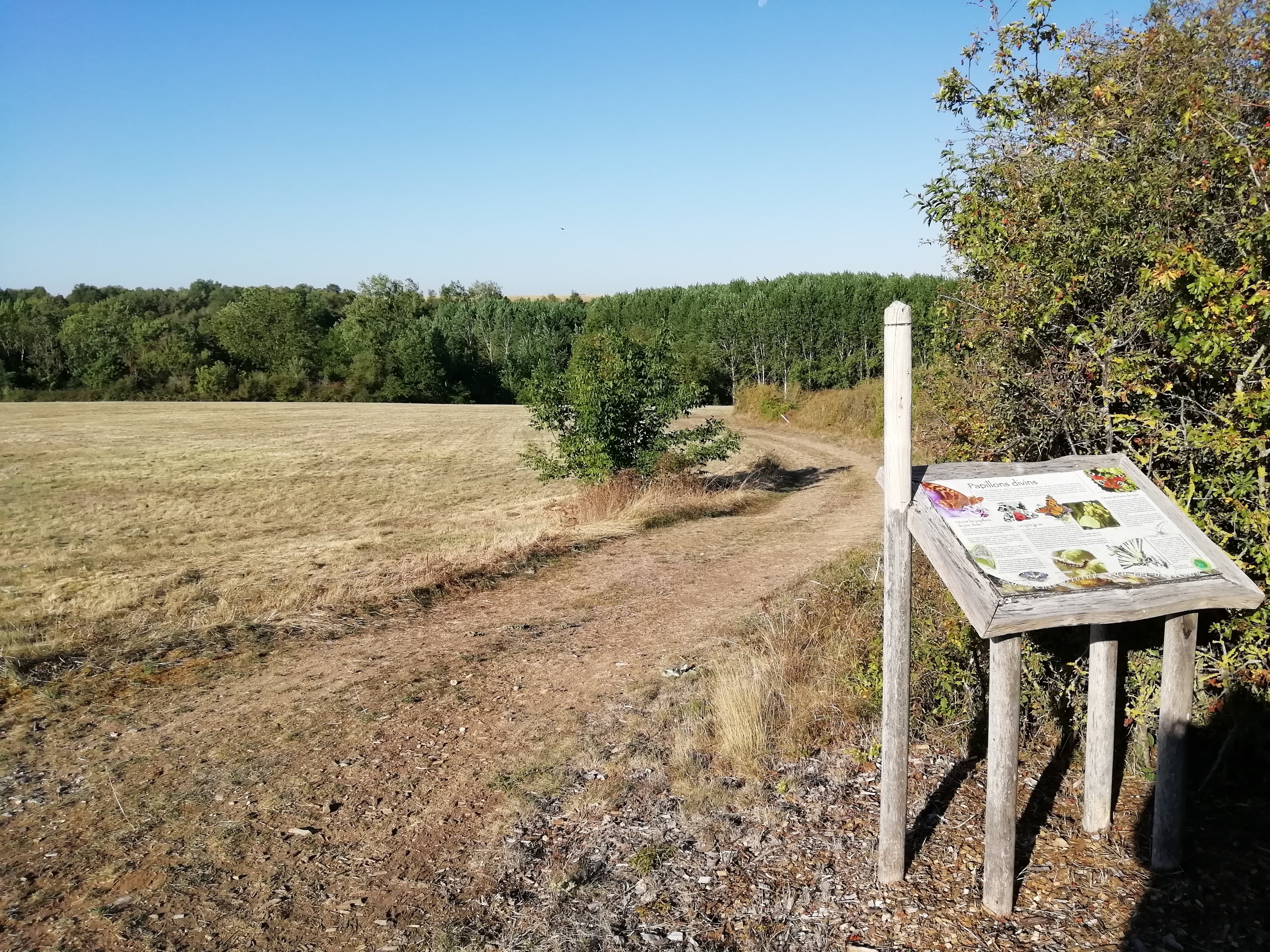Tumulus du Puy Taillé