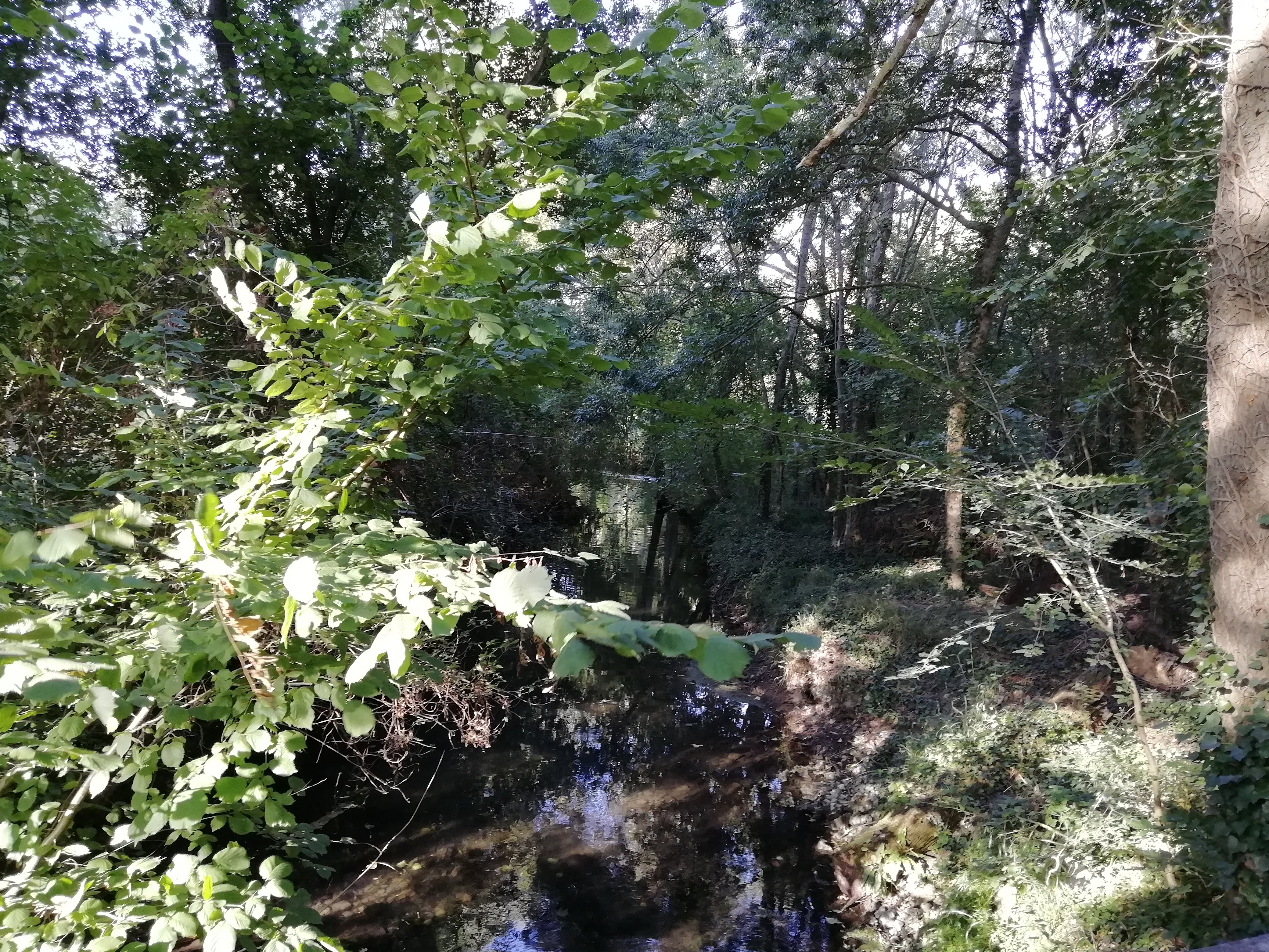 Tumulus du Puy Taillé, Assais-les-Jumeaux - photo 3