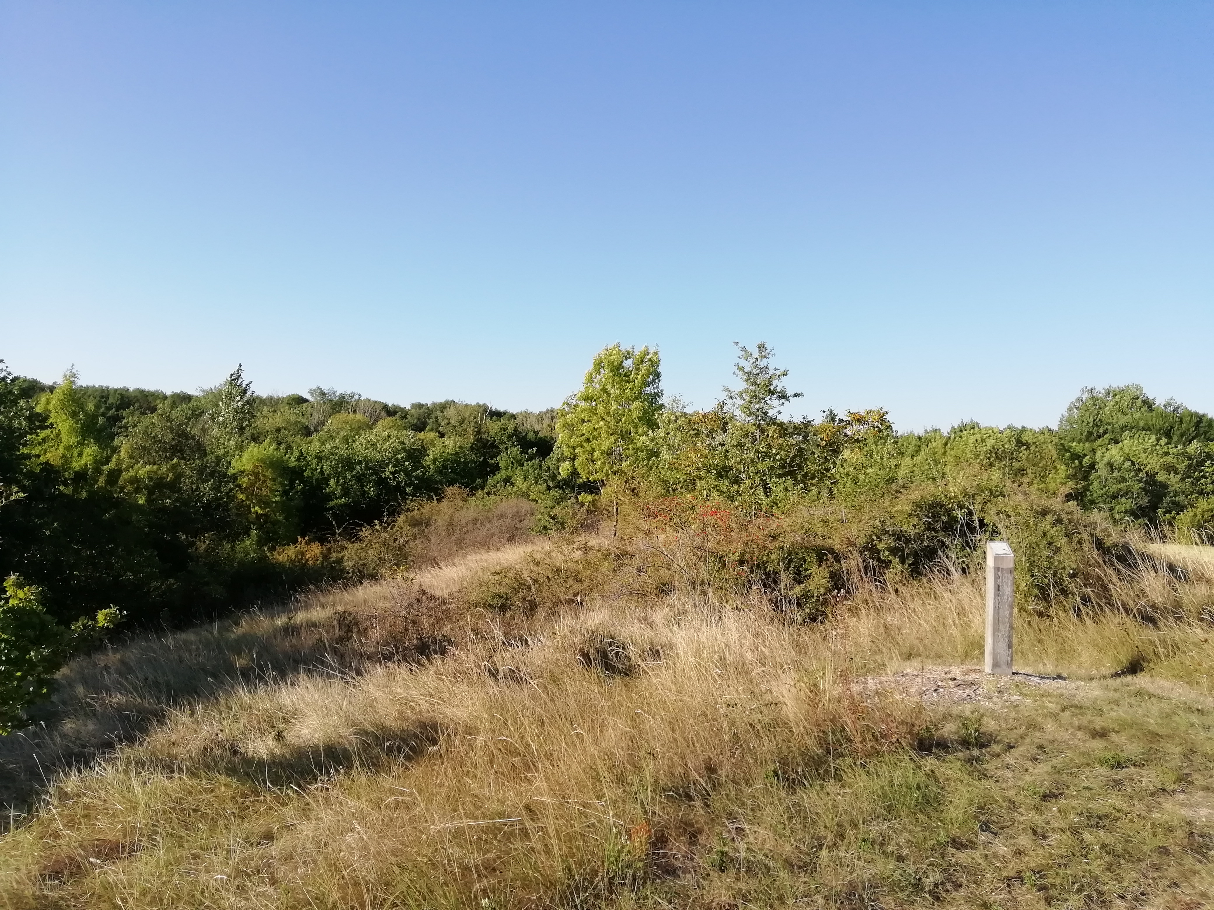 Tumulus du Puy Taillé, Assais-les-Jumeaux - photo 4