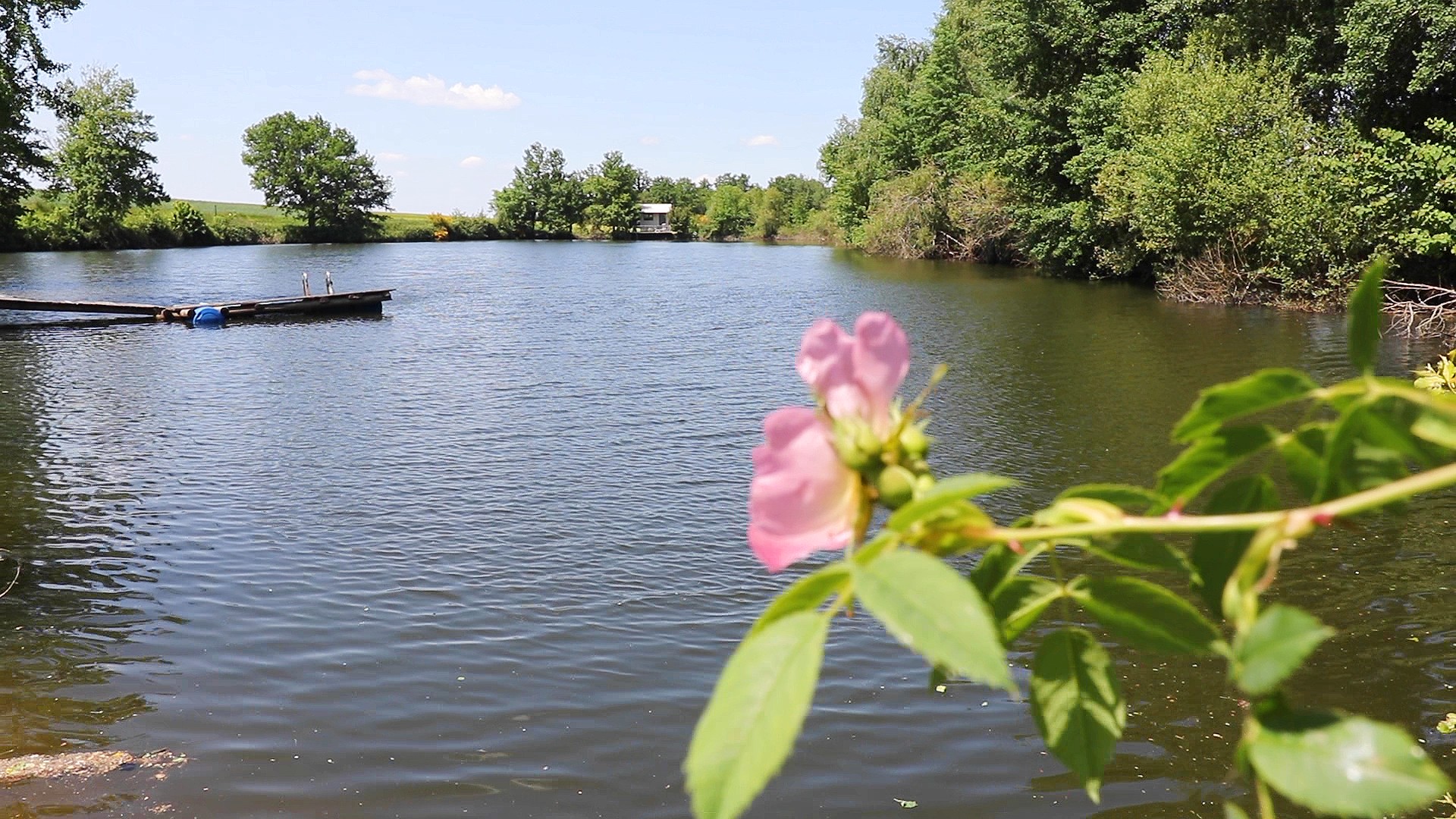 Camping à la ferme de Bramefort, Champsac - photo 6