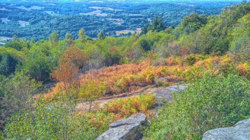 Base VTT FFC des Monts du Limousin - Circuit 5 Pierre Branlante - photo 3