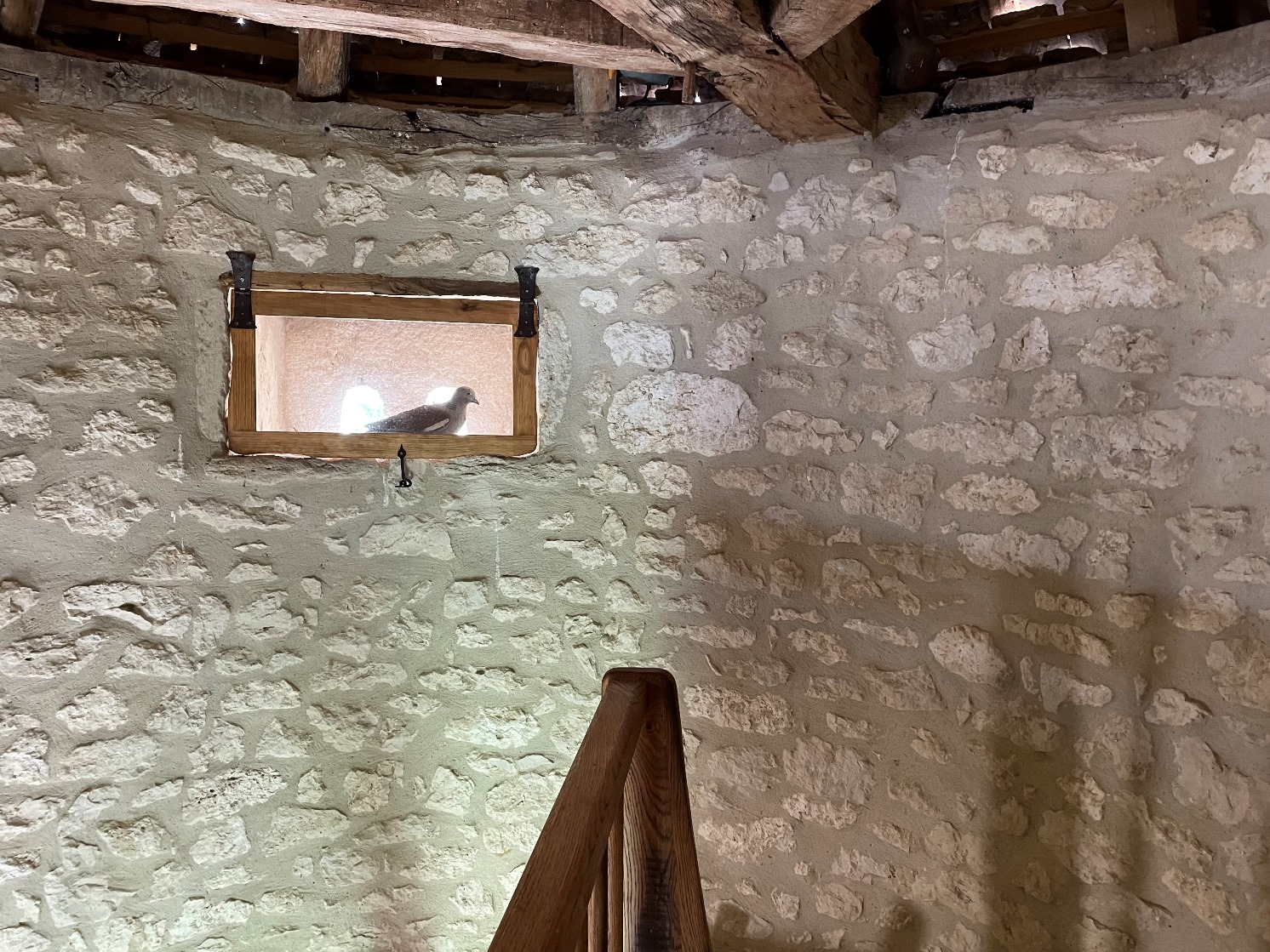 Le pigeonnier d'Esclottes, Esclottes