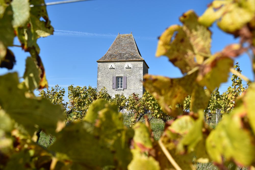 Point de vue du pigeonnier Jean de Blanc, Saint-Astier - photo 8