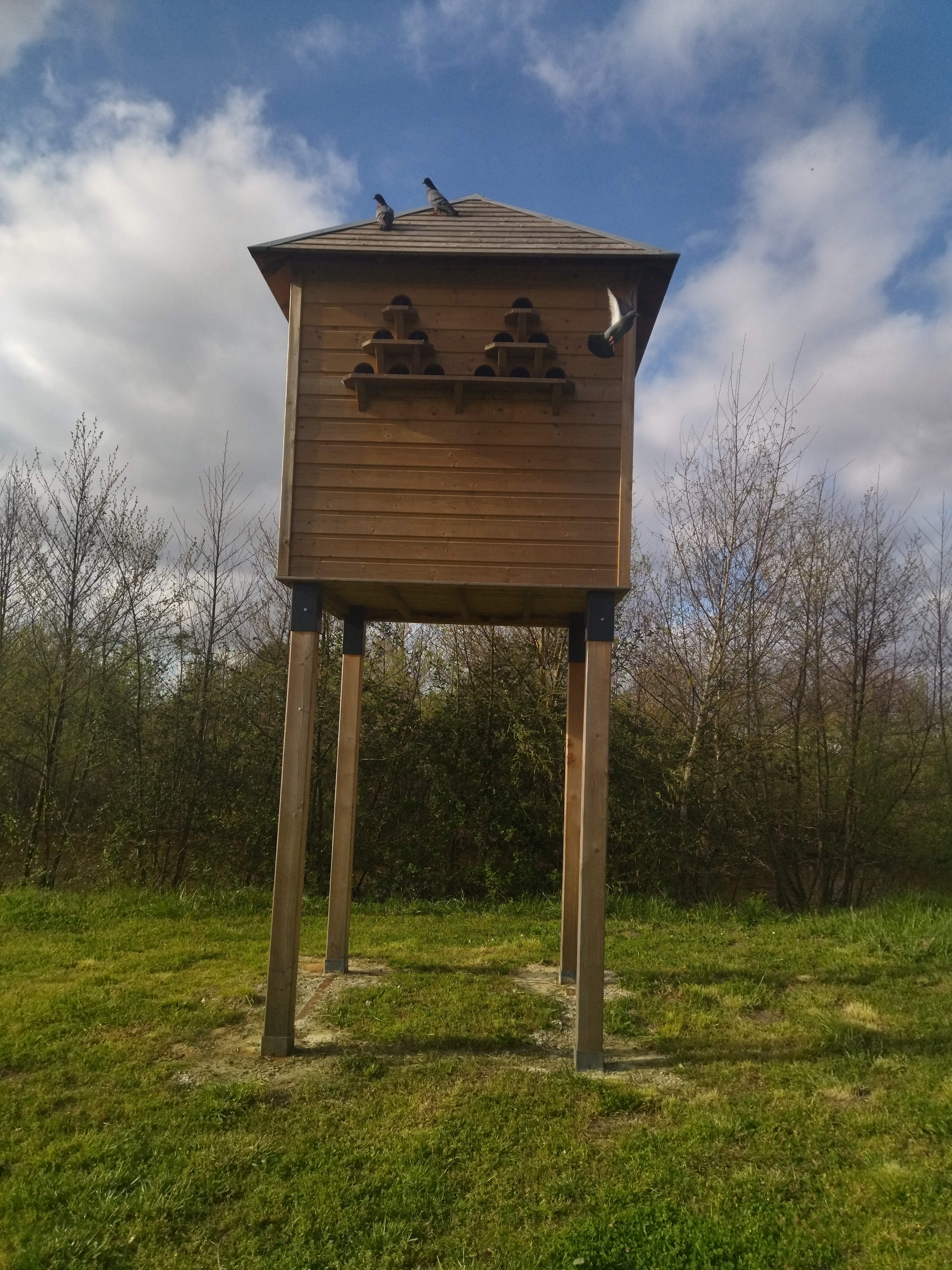 Balade à roulettes : Le port du Teich, Le Teich