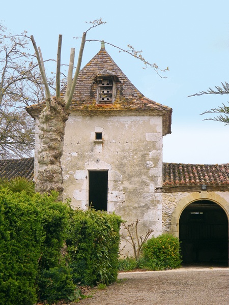 Promenade de St Cernin, Saint-Cernin-de-Labarde - photo 2