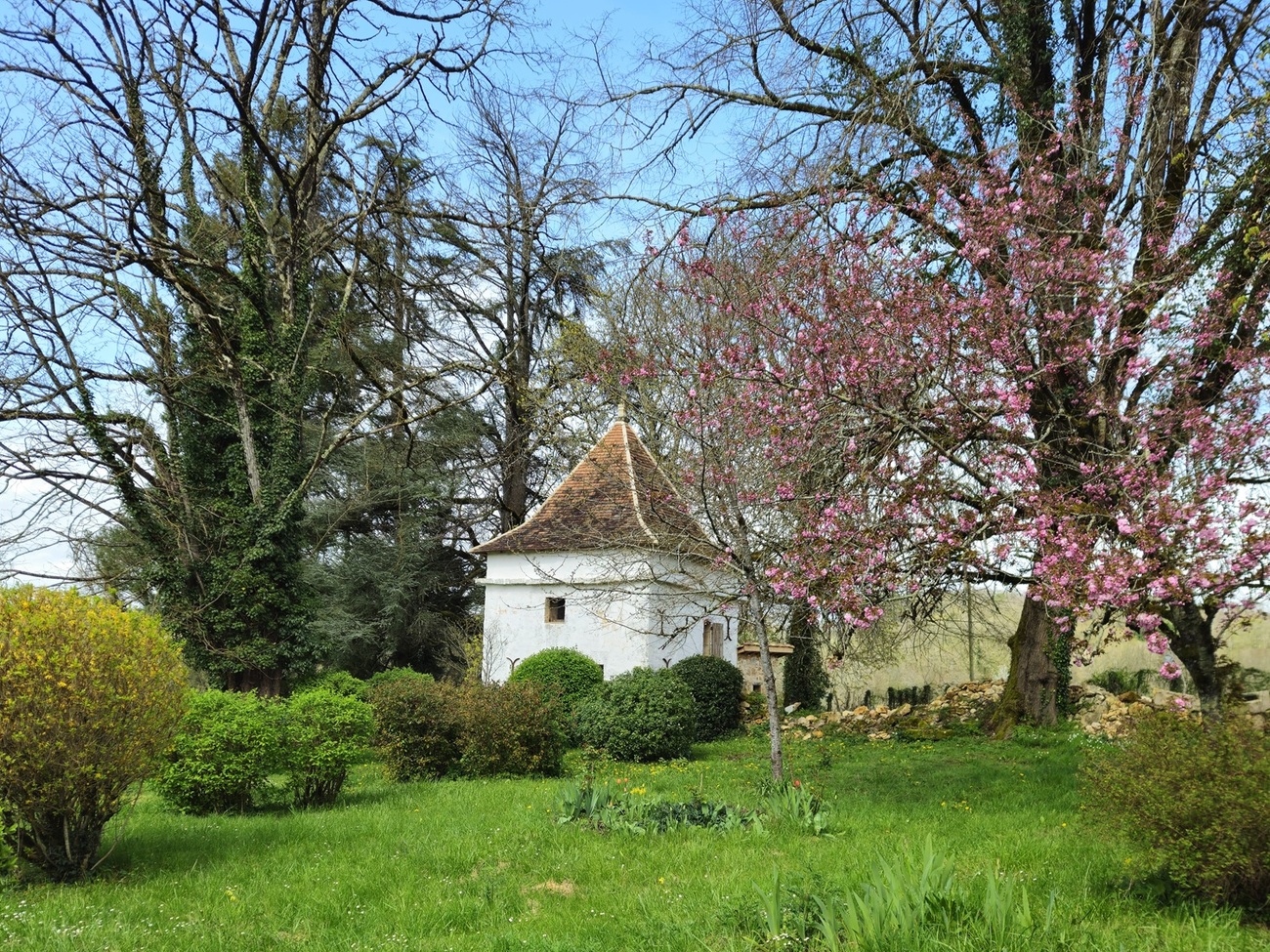 Visite du Château de la Guionie en 3 formules, Lempzours - photo 8