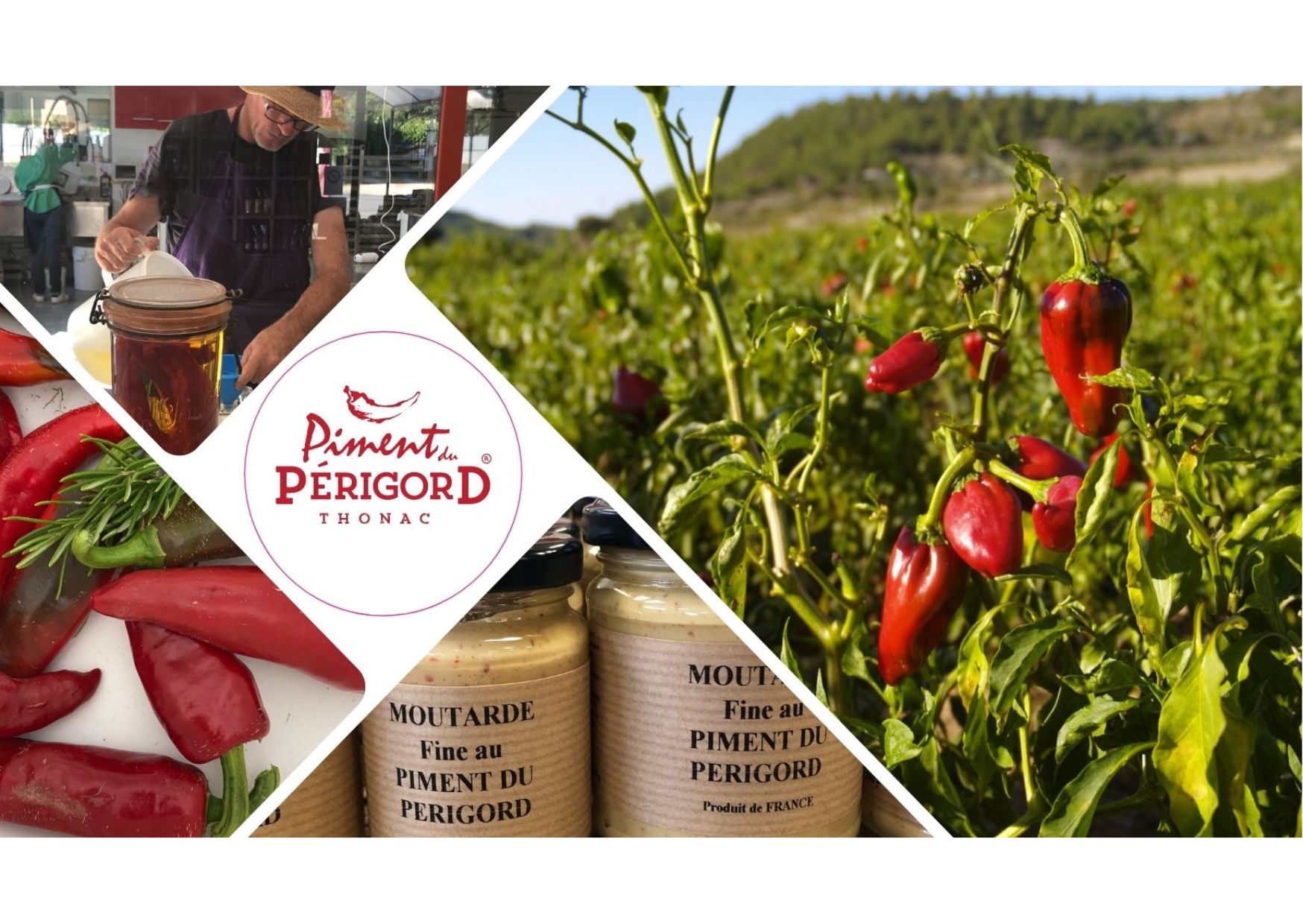 Piments et Moutarde du Périgord