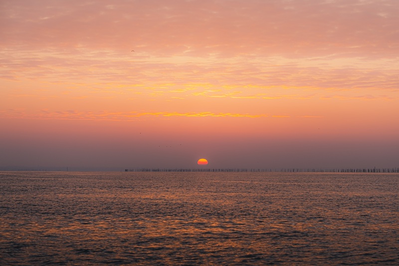 Pinasse Evasion - photo 3