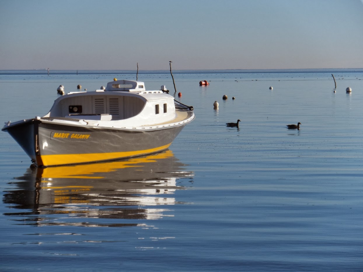 Pinasse Marie-Galante