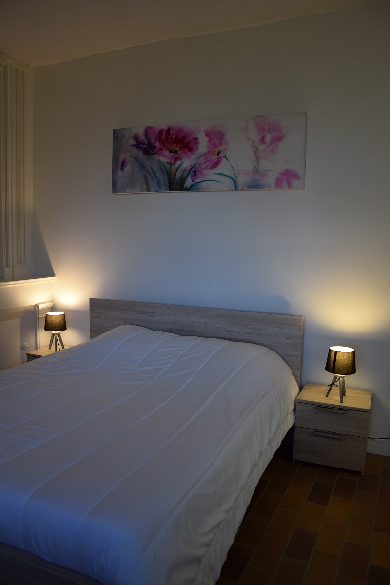 Les Pinsons - Domaine des Chaulnes, Grignols - photo 9