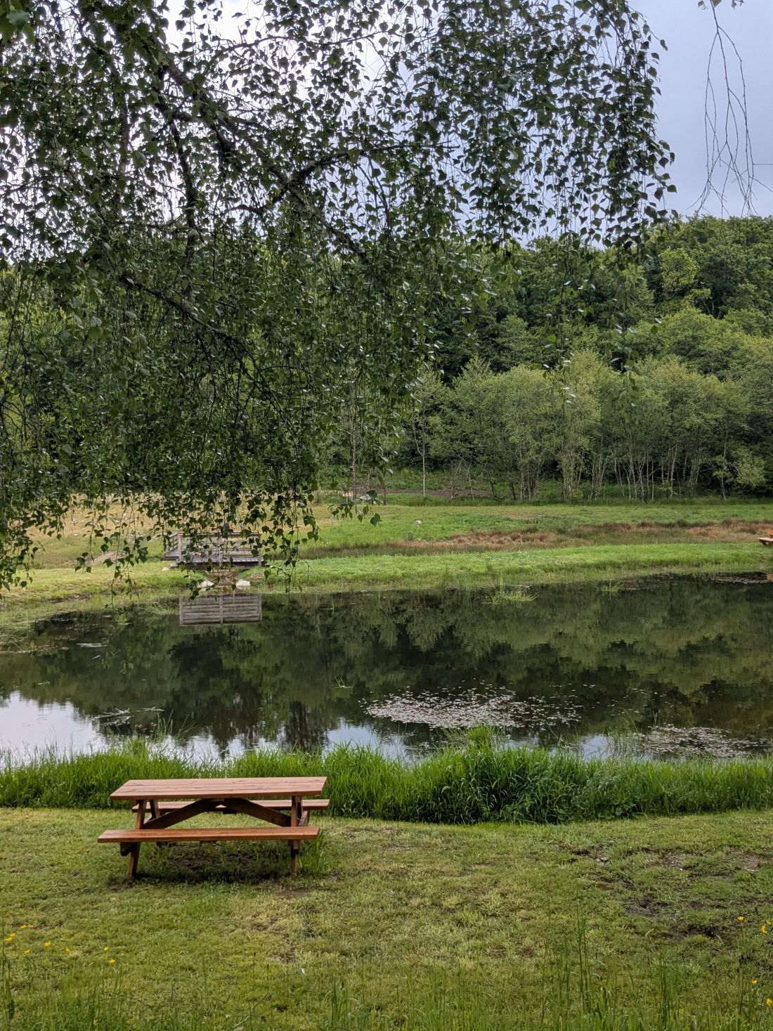 Aire de pique nique espace biodiversité de Lacelle — photo 2
